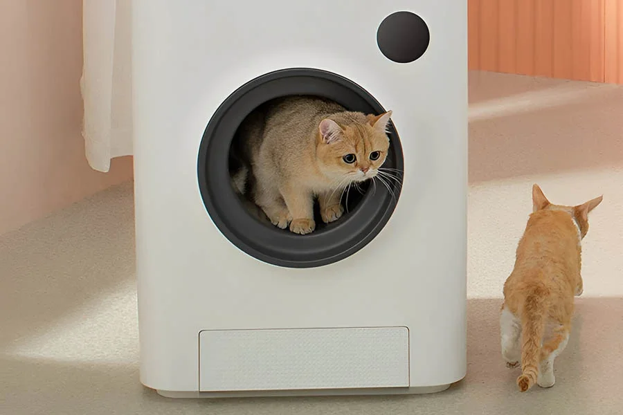 self cleaning cat litter box reviews